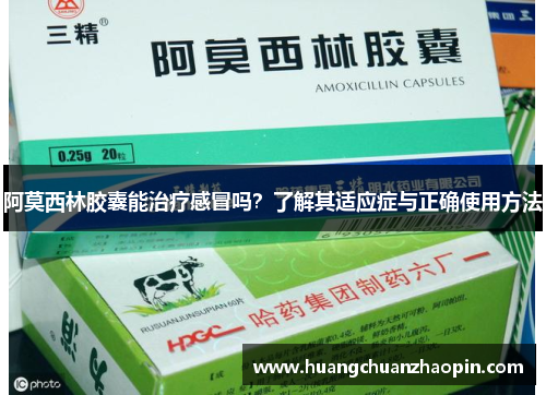 阿莫西林胶囊能治疗感冒吗？了解其适应症与正确使用方法